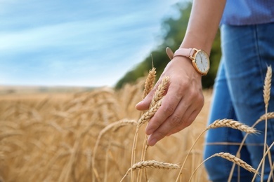Young woman in grain field, closeup. Cereal farming