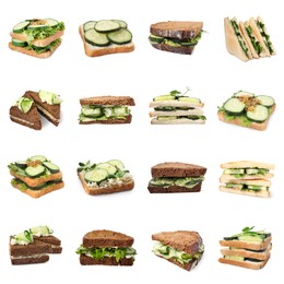 Image of Collage with tasty cucumber sandwiches on white background