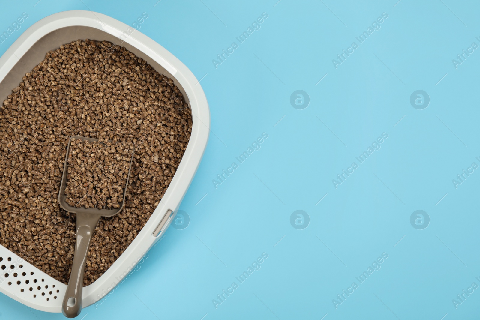 Photo of Cat litter tray with filler and scoop on light blue background, top view. Space for text