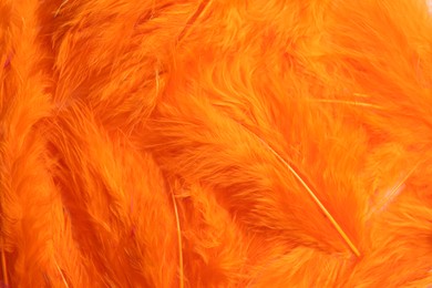 Photo of Many beautiful fluffy orange feathers as background, top view