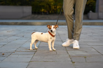 Photo of Man with adorable Jack Russell Terrier on city street, closeup. Dog walking
