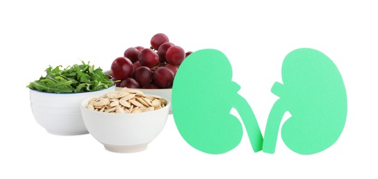 Photo of Paper cutout of kidneys and different healthy products on white background