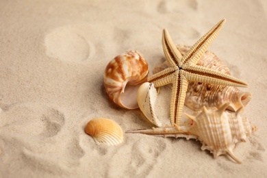 Beautiful starfish and sea shells on sand, space for text