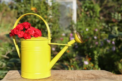 Photo of Beautiful roses in watering can on wooden table outdoors, space for text