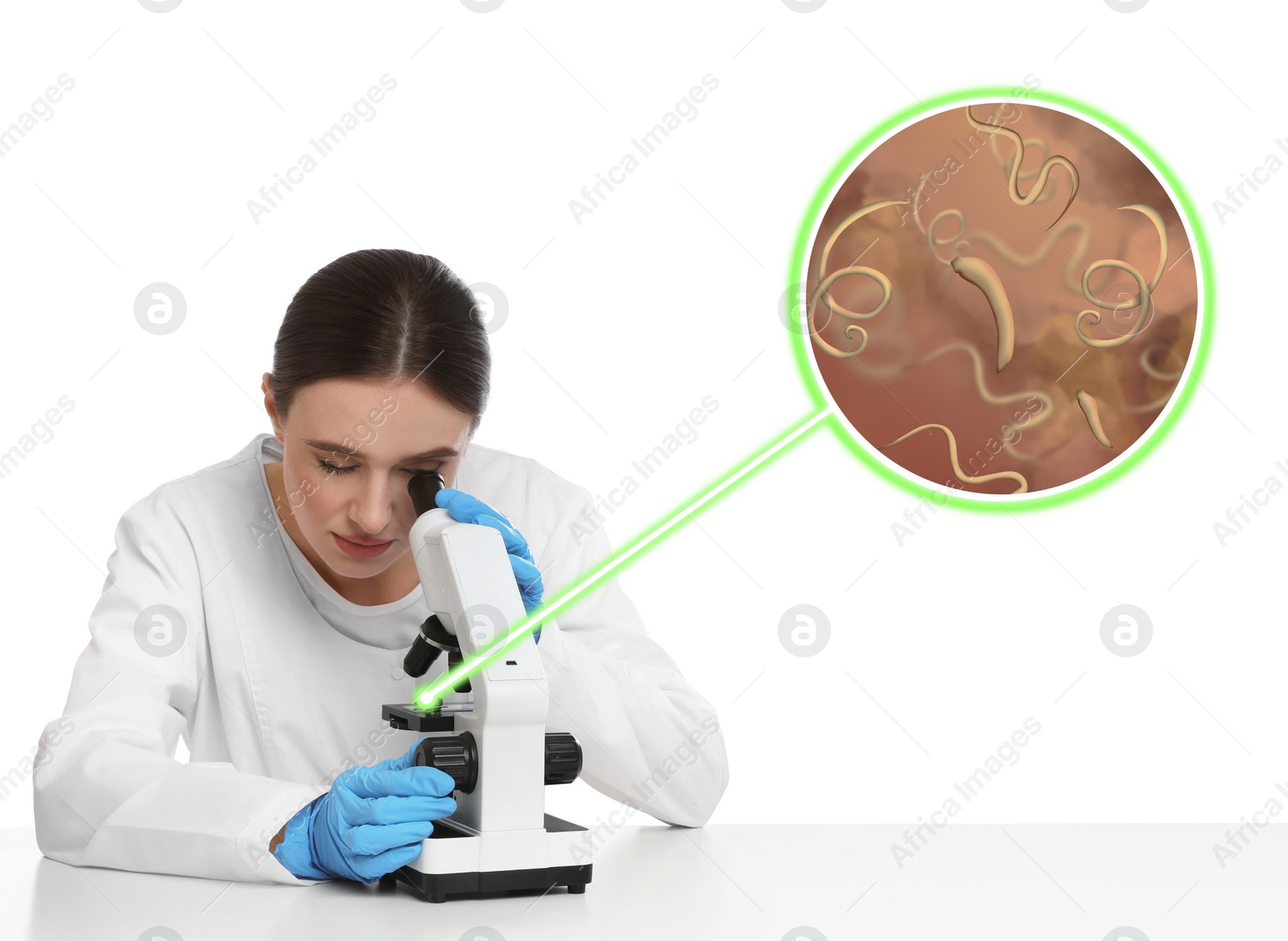 Image of Laboratory worker using microscope to examine helminths on white background. Zoomed view on parasitic worms