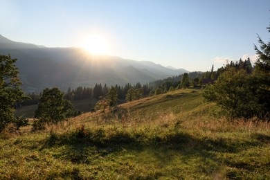 Photo of Morning sun shining over pasture in mountains