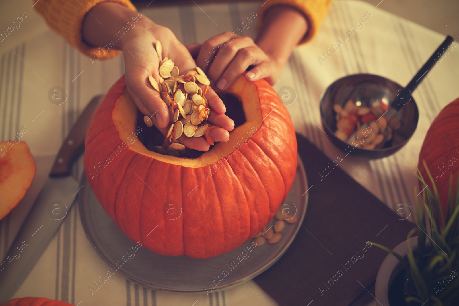 Photo of Woman making pumpkin jack o'lantern at table, closeup. Halloween celebration