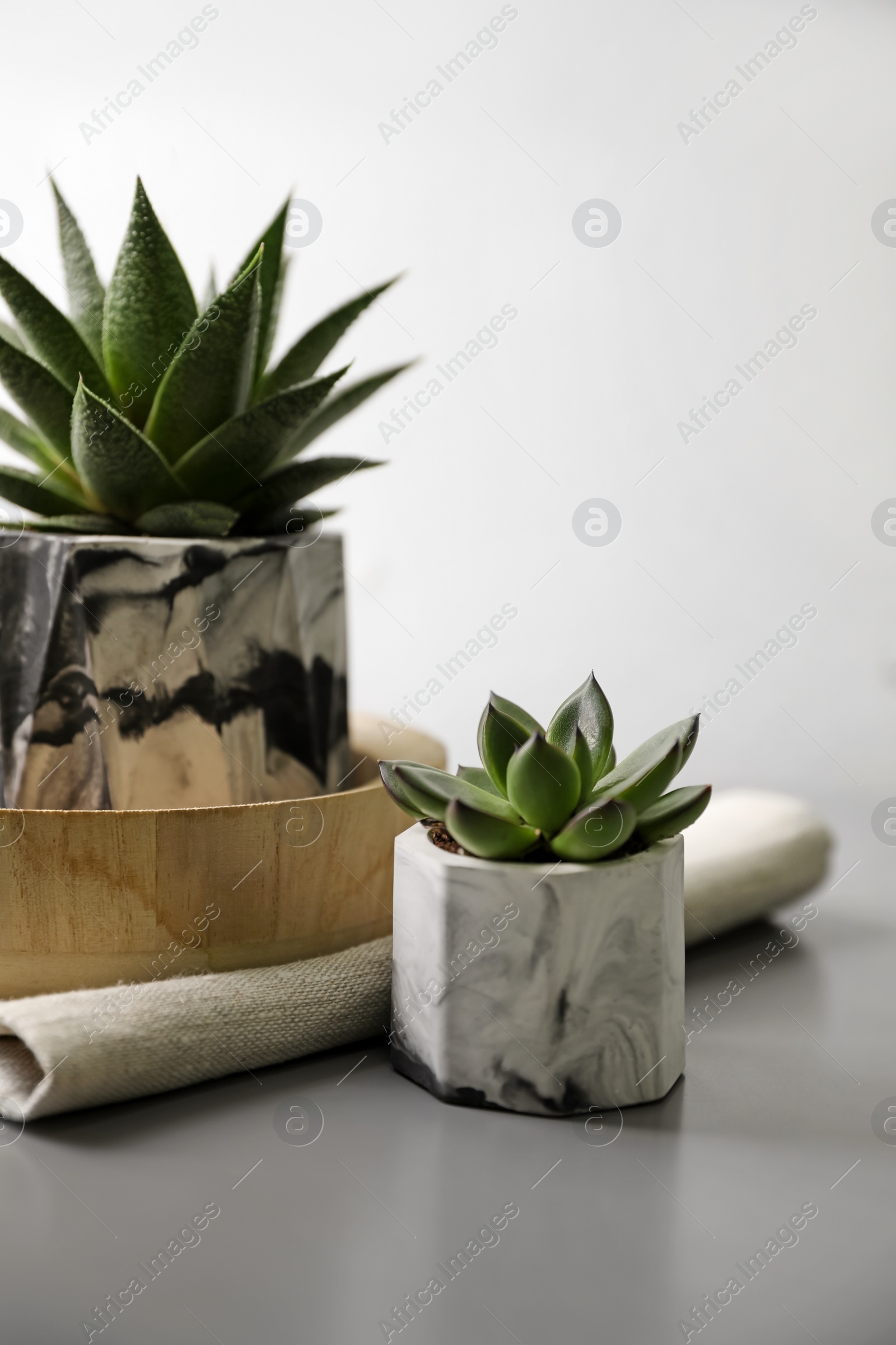 Photo of Beautiful potted succulents on light grey table