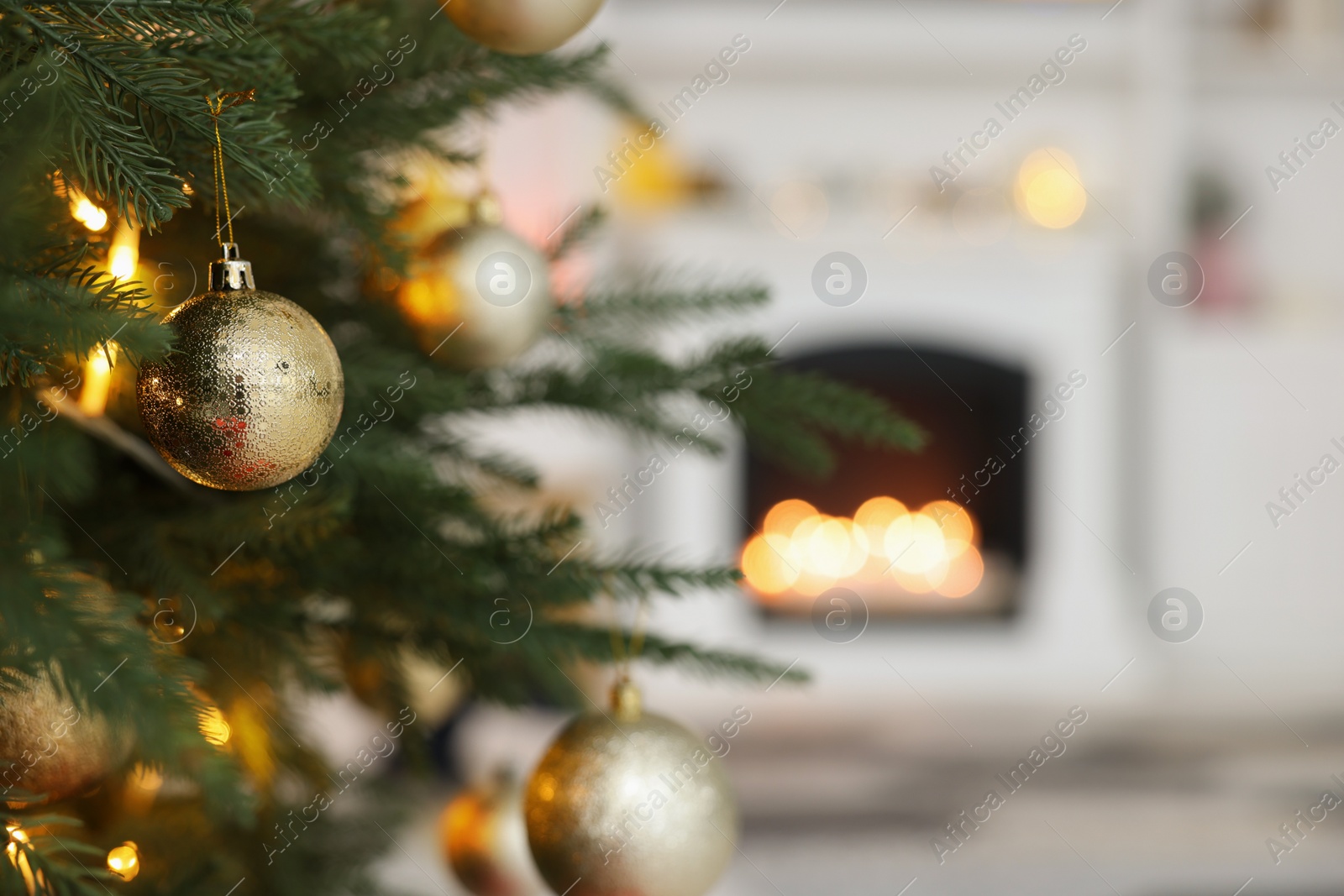 Photo of Beautiful golden Christmas ball hanging on fir tree branch against blurred background. Space for text