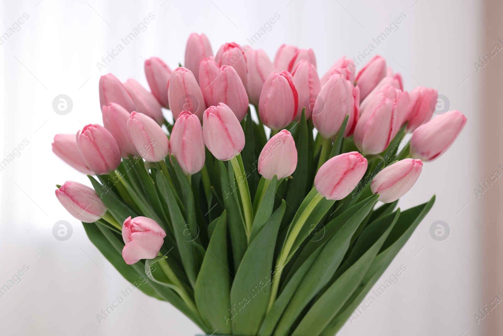 Photo of Bouquet of beautiful pink tulips on blurred background, closeup