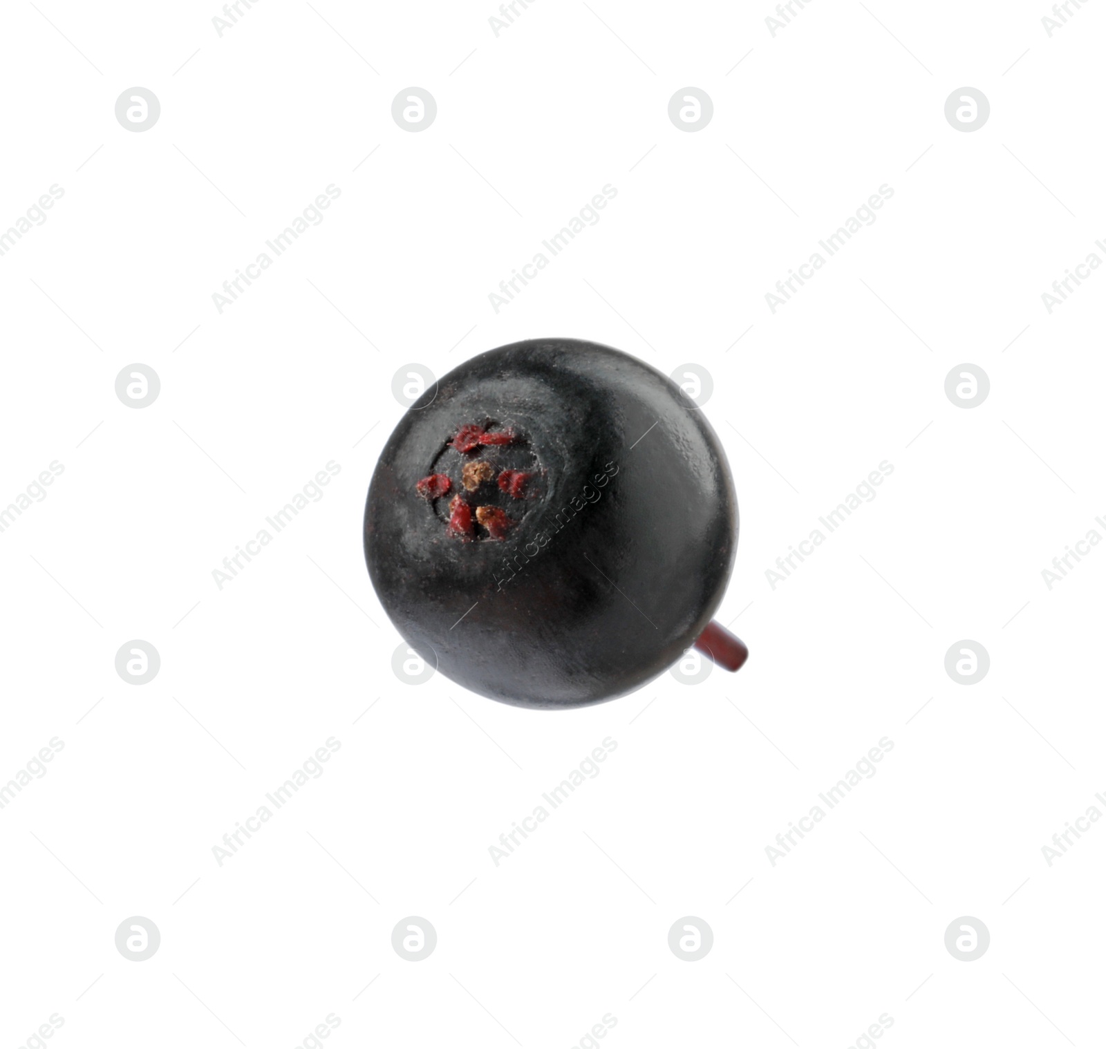 Photo of Delicious ripe black elderberry isolated on white