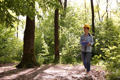 Forester with clipboard examining plants in forest