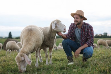 Photo of Smiling man with sheep on pasture at farm
