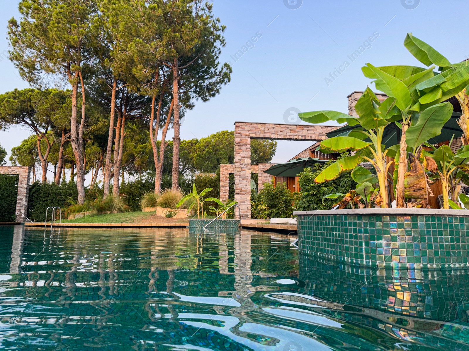 Photo of Swimming pool and exotic plants at luxury resort