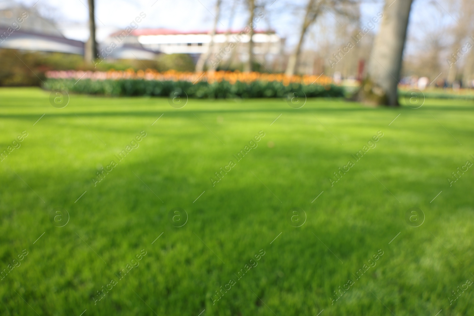 Photo of Blurred view of beautiful park on sunny day