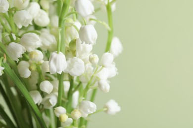 Photo of Beautiful lily of the valley flowers on light green background, closeup. Space for text