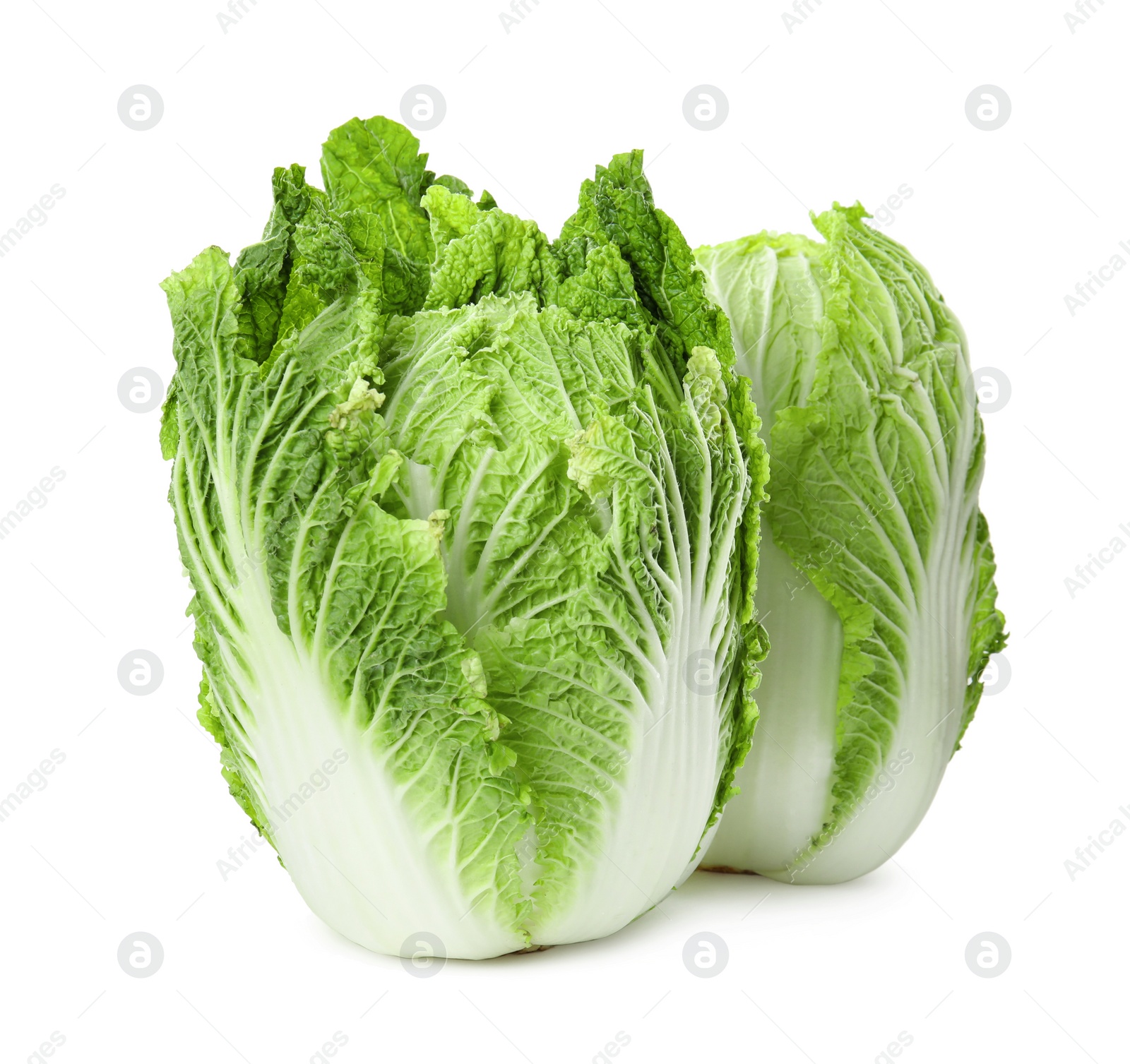 Photo of Fresh ripe Chinese cabbages on white background