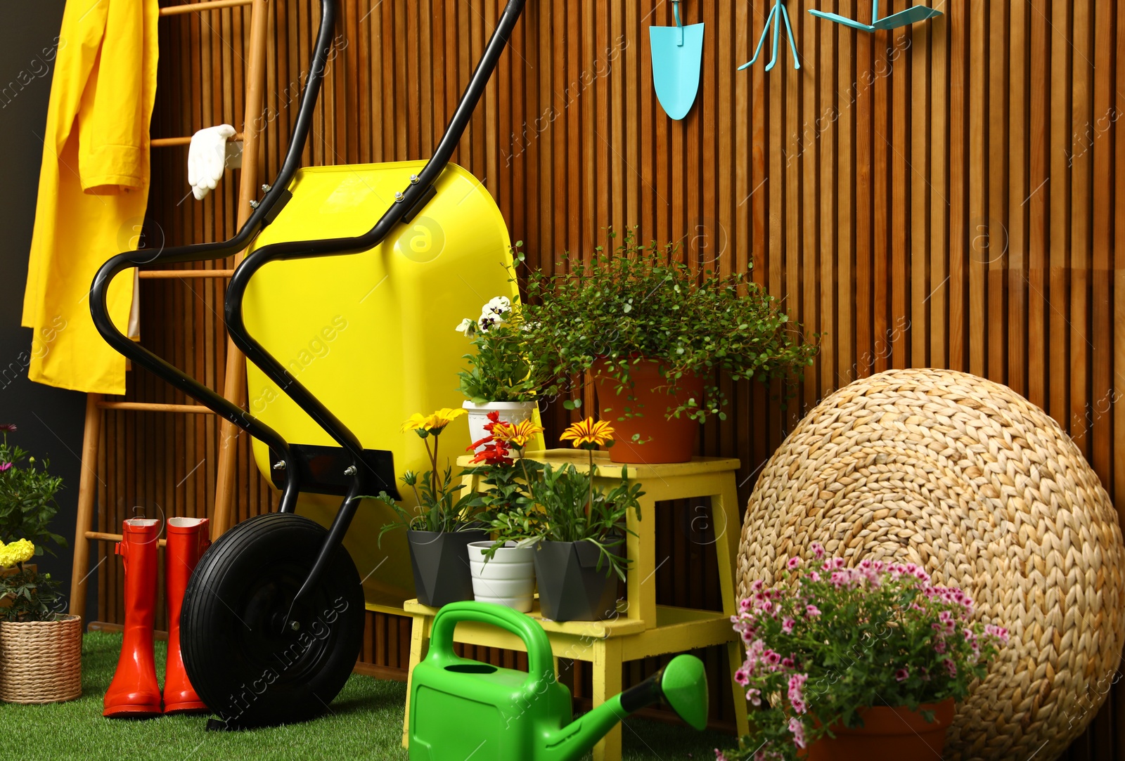 Photo of Gardening tools with wheelbarrow and flowers near wooden wall