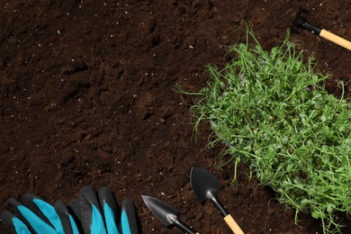 Photo of Fresh organic microgreens and tools on soil in garden, flat lay. Space for text