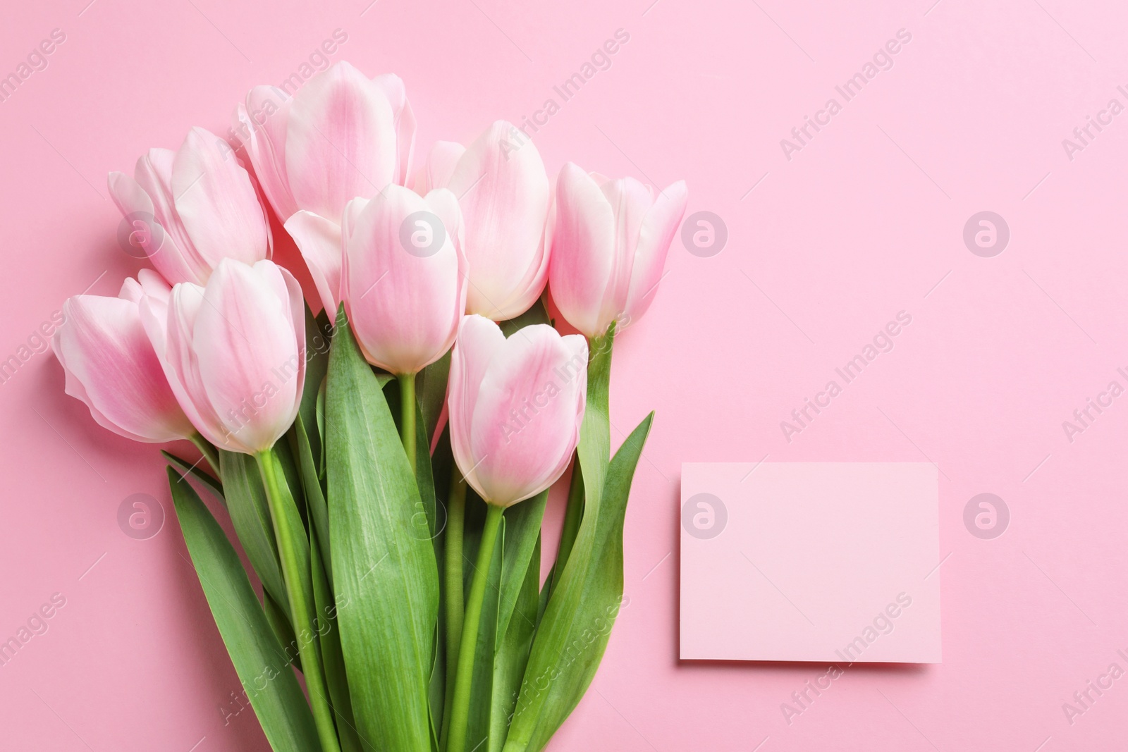 Photo of Beautiful tulips and card for Mother's Day on color background, top view