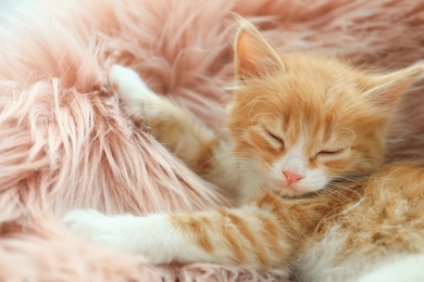 Cute little kitten sleeping on pink furry blanket