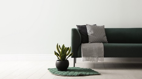 Stylish living room interior with comfortable green sofa and beautiful plant. Space for text