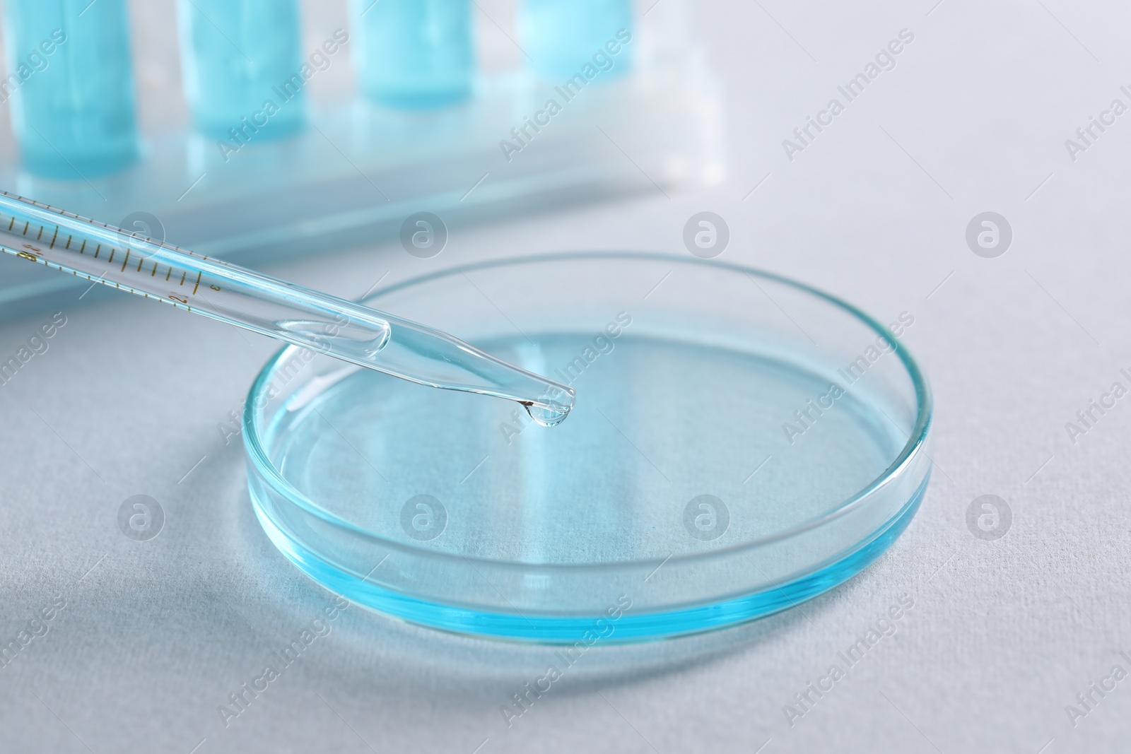 Photo of Dripping liquid from pipette into petri dish on light background, closeup. Laboratory analysis