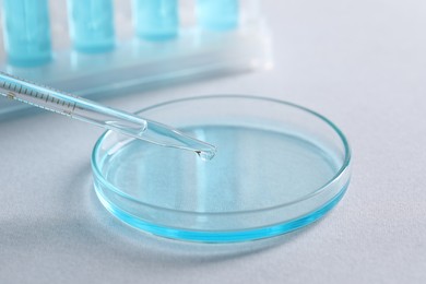 Dripping liquid from pipette into petri dish on light background, closeup. Laboratory analysis