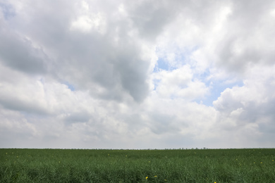 Photo of Beautiful green field under sky with clouds