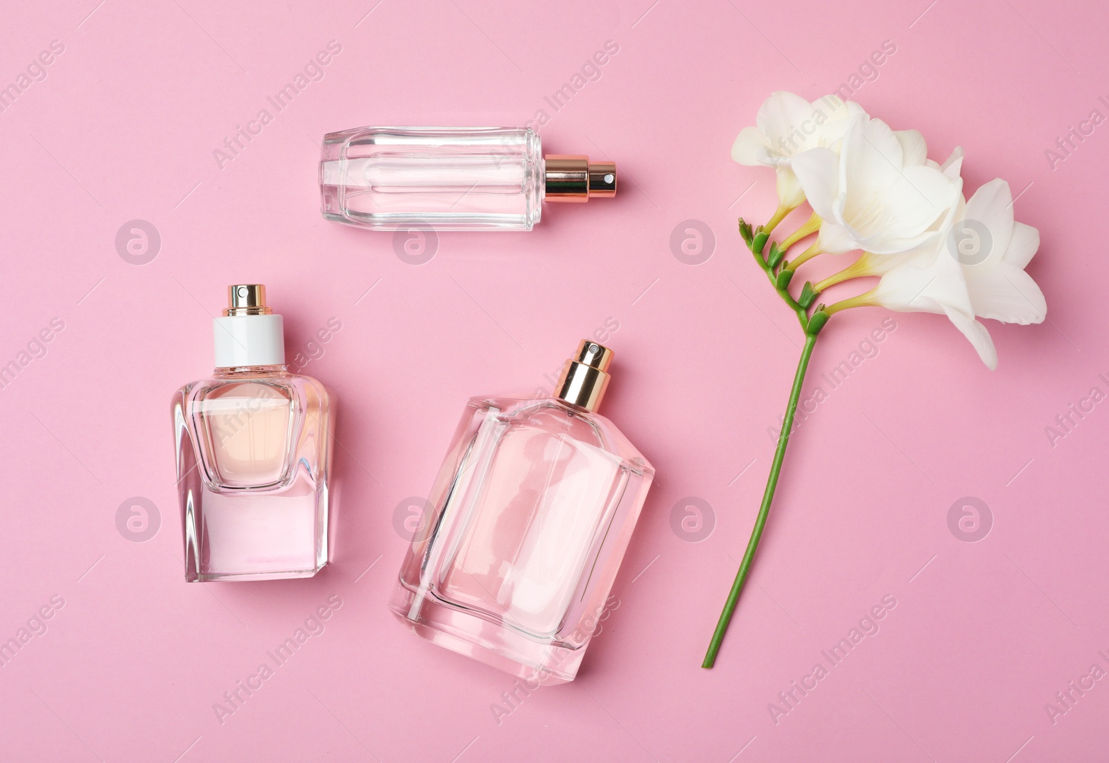 Photo of Bottles of perfume and flower on color background, top view