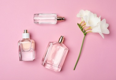 Photo of Bottles of perfume and flower on color background, top view