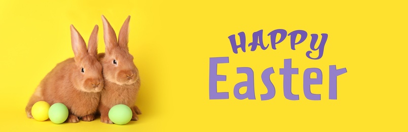 Happy Easter! Cute bunnies and dyed eggs on yellow background, banner design