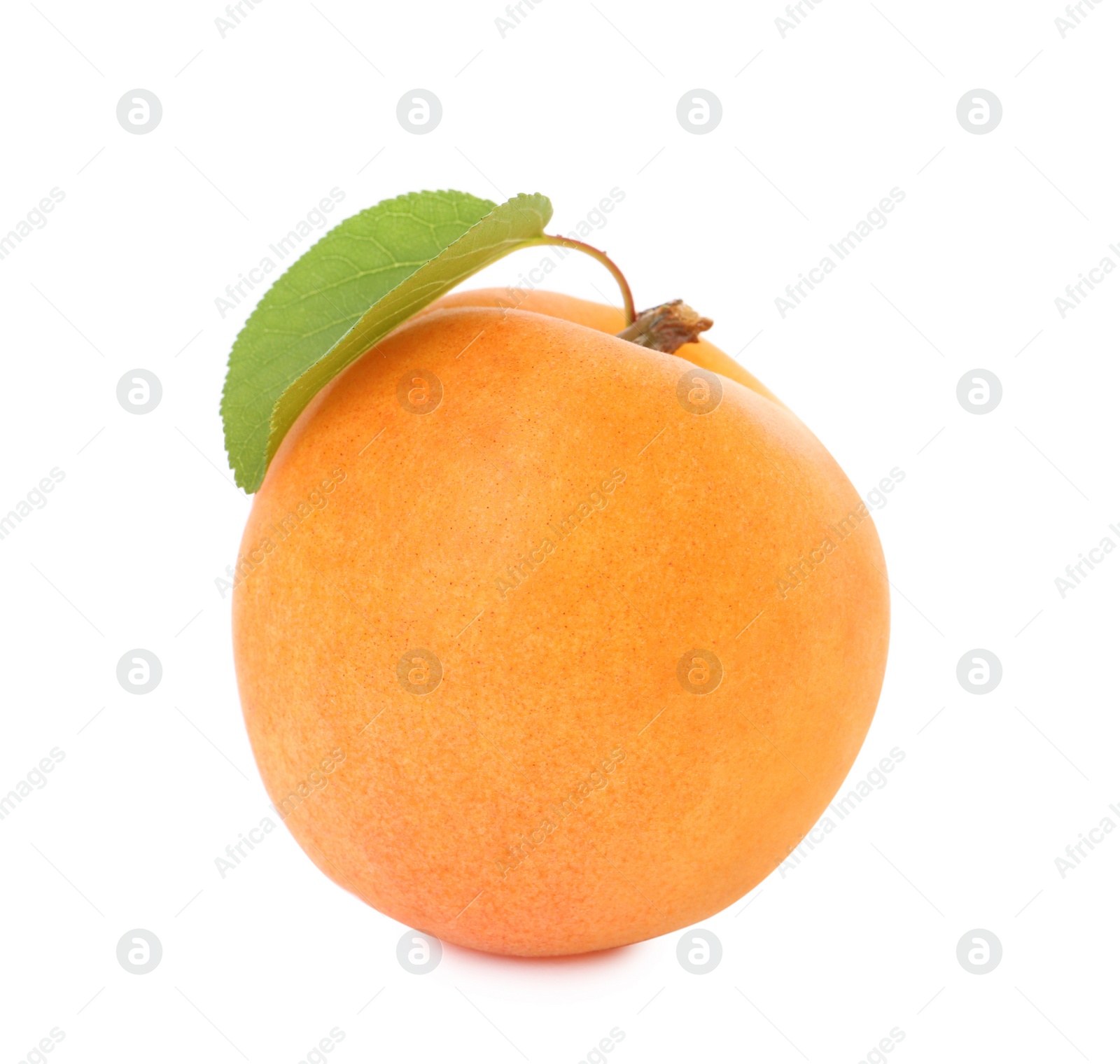 Photo of Delicious ripe sweet apricot with leaf on white background