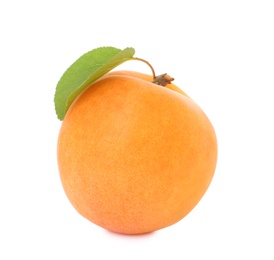 Delicious ripe sweet apricot with leaf on white background