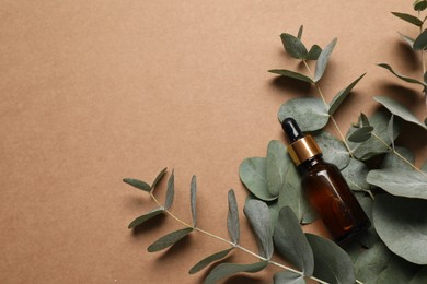 Photo of Aromatherapy product. Bottle of essential oil and eucalyptus branches on brown background, flat lay. Space for text