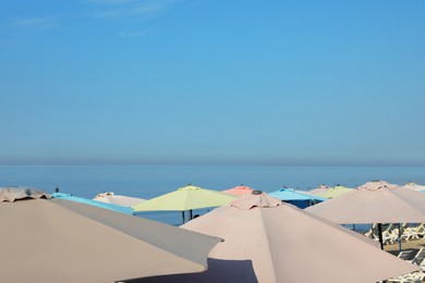 Many beach umbrellas at resort on sunny day