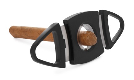 Photo of Cigar with guillotine cutter on white background