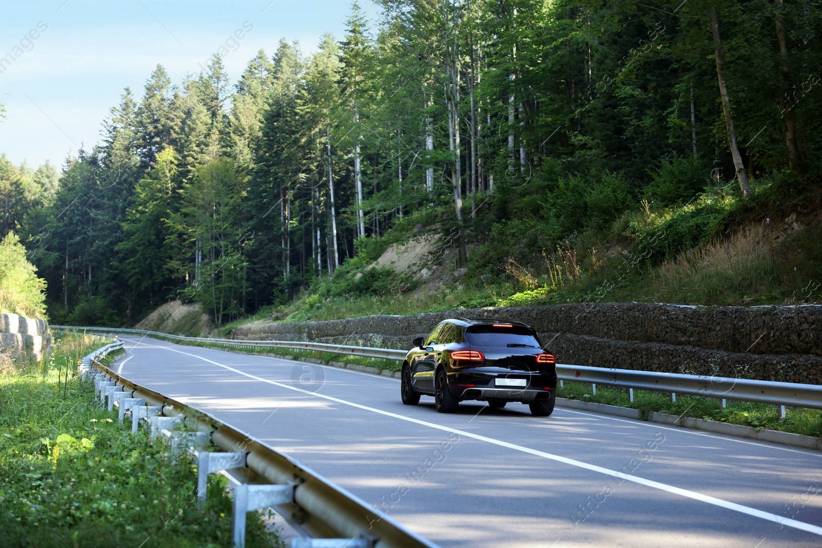 Photo of Picturesque view of asphalt road with modern black car near forest
