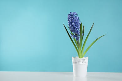 Photo of Beautiful hyacinth in pot on table against color background, space for text. Spring flower