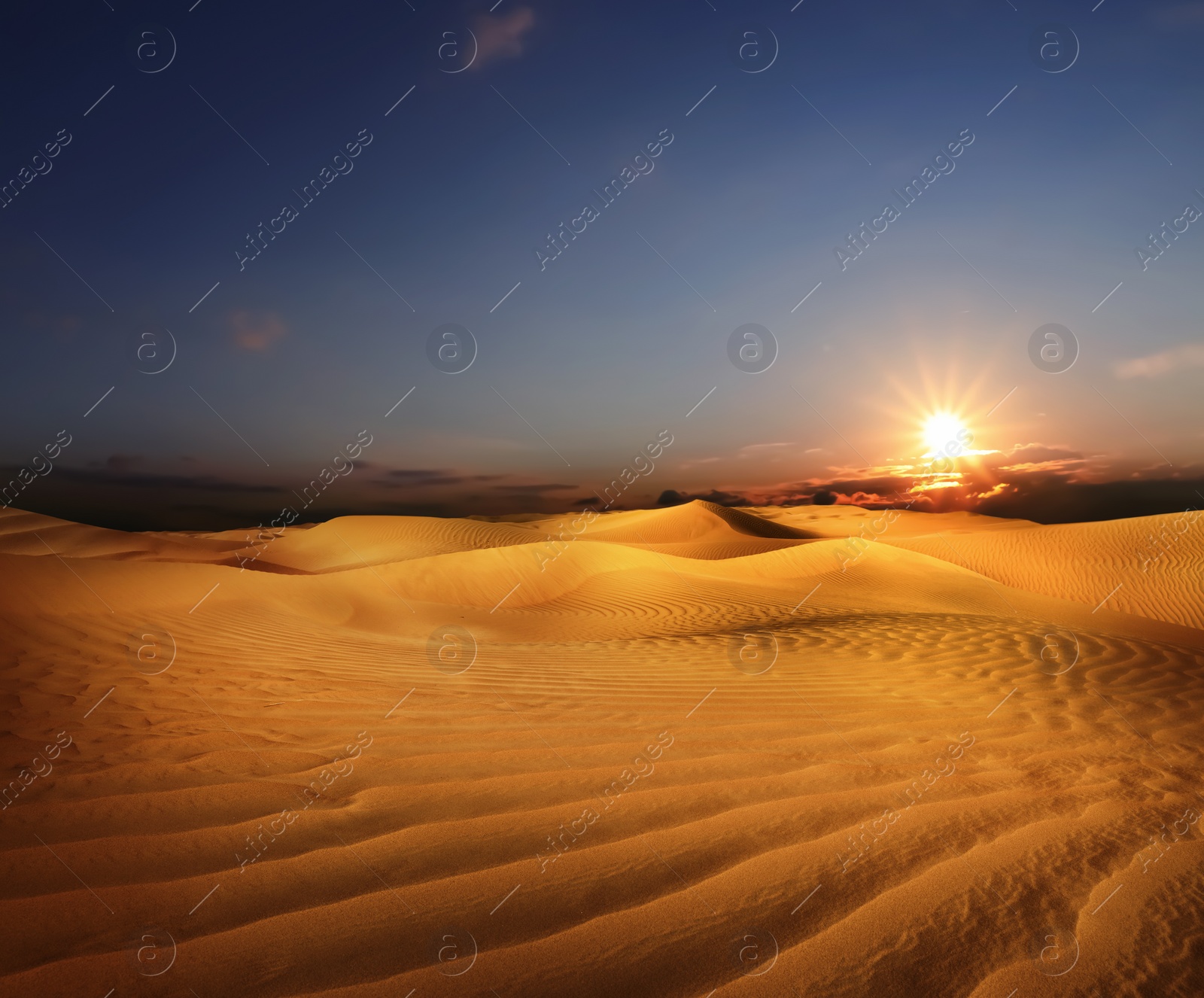 Image of Beautiful view of sandy desert at sunset