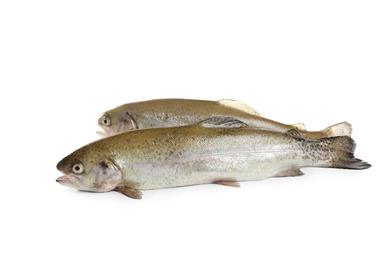 Photo of Raw cutthroat trout fish isolated on white