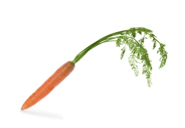 Photo of Ripe carrot on white background. Healthy diet