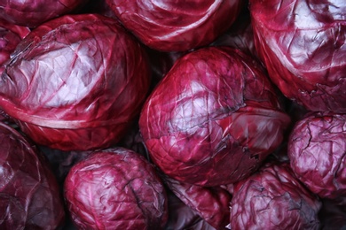 Photo of Ripe red cabbage as background