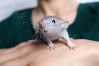 Photo of Woman holding cute small rat, closeup view