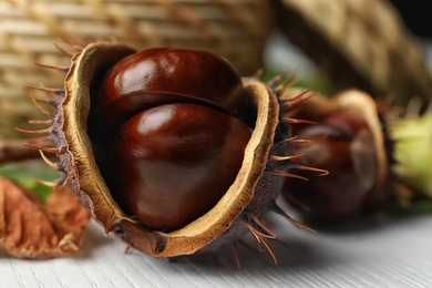 Photo of Horse chestnut in husk on white wooden table, closeup