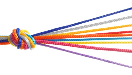 Photo of Colorful ropes tied together with knot on white background. Unity concept