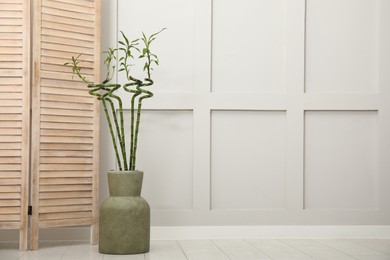Photo of Vase with green bamboo stems and folding screen on floor in room. Interior design