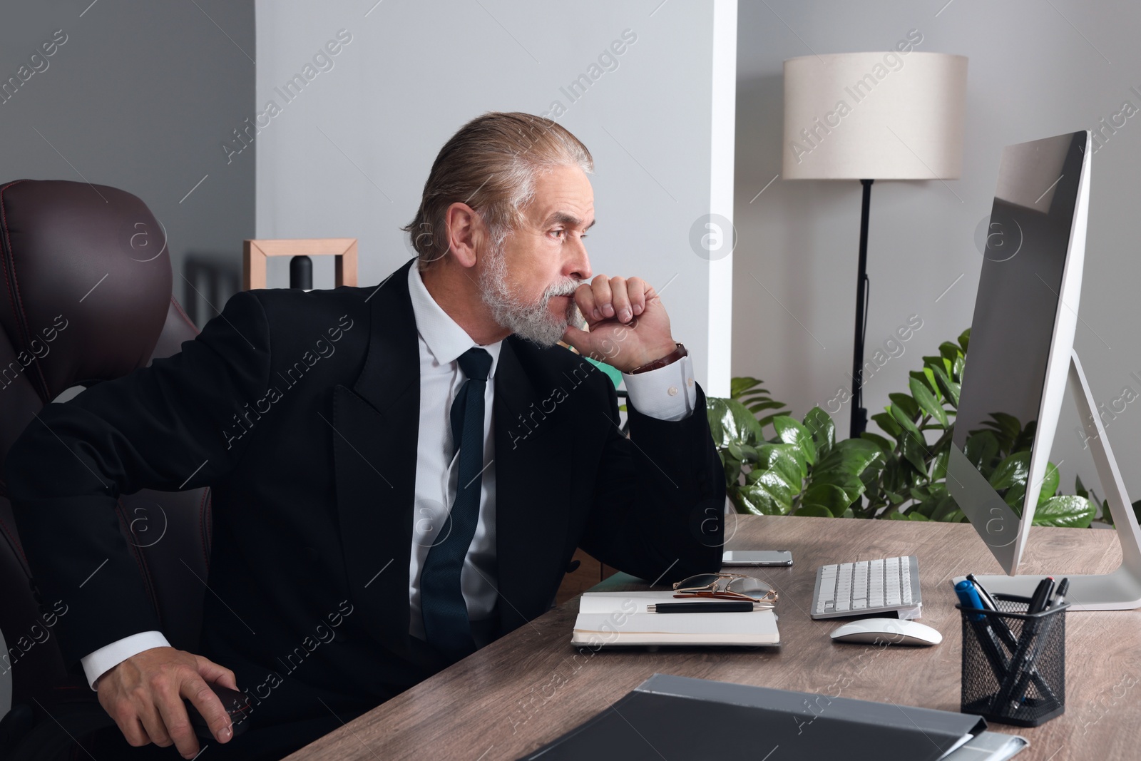 Photo of Successful senior boss working in his office