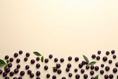 Fresh acai berries on beige background, flat lay. Space for text