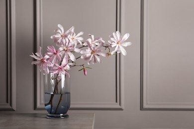 Magnolia tree branches with beautiful flowers in glass vase on table against grey background, space for text